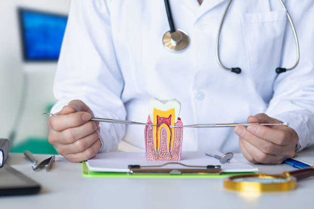 Best Emergency Tooth Extraction in Maine, WI